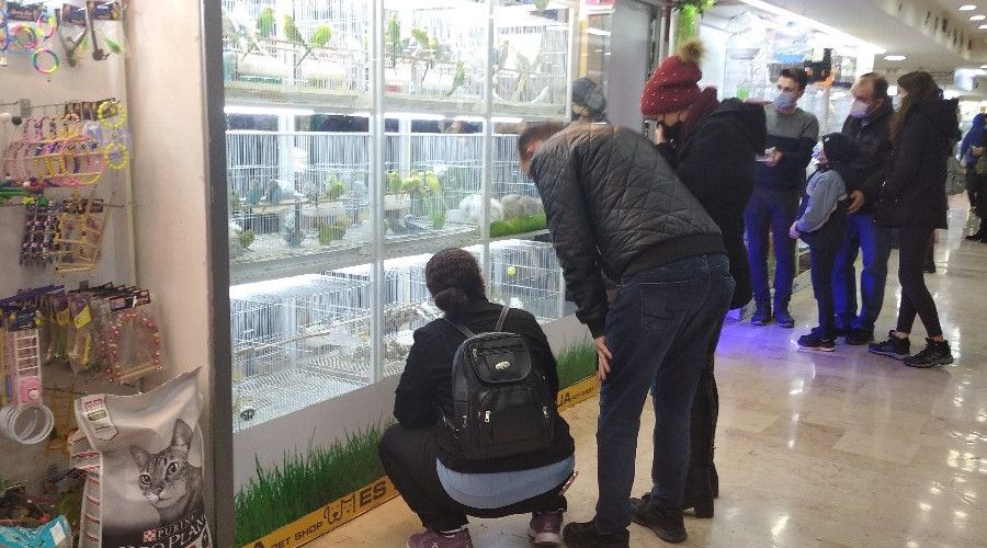 Pandemi döneminde evcil hayvanlara talep arttı