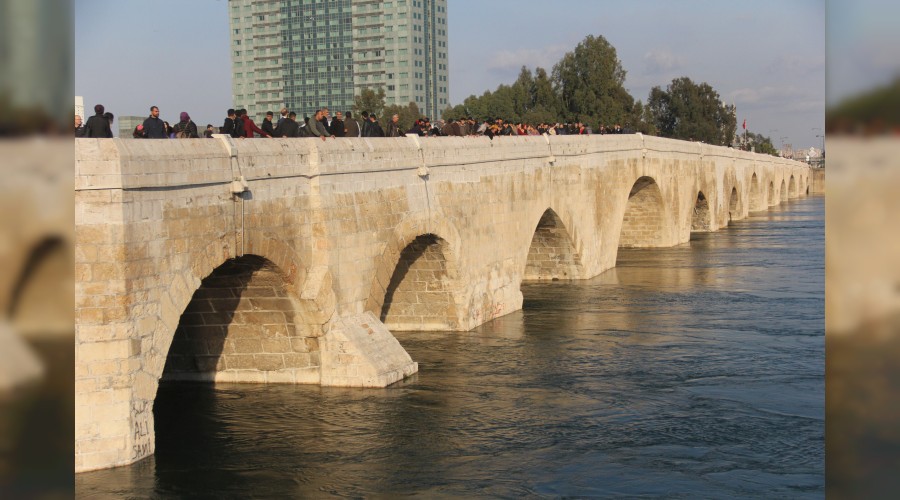 Pes dedirten manzara