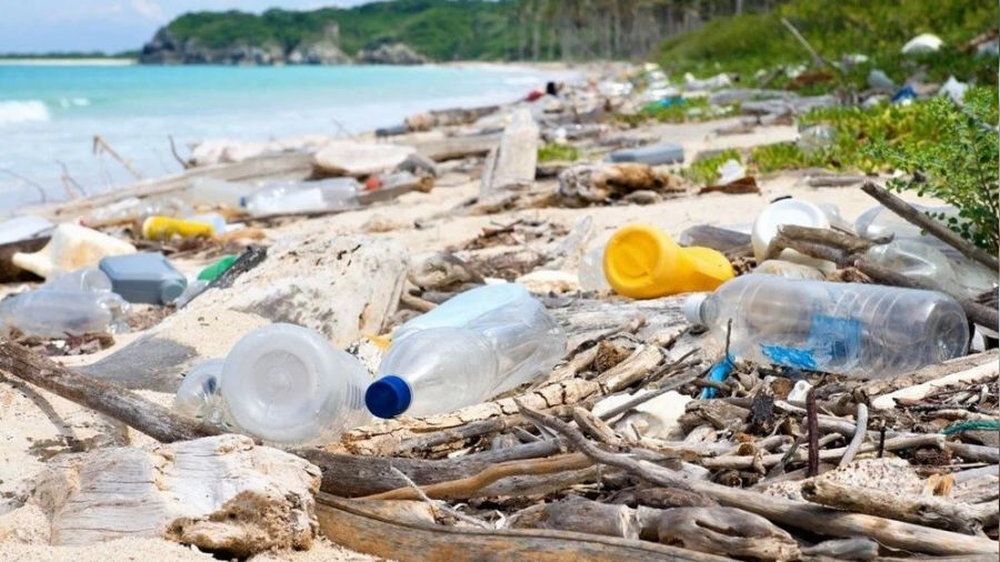 Plastik kirliliği BM'nin gündeminde