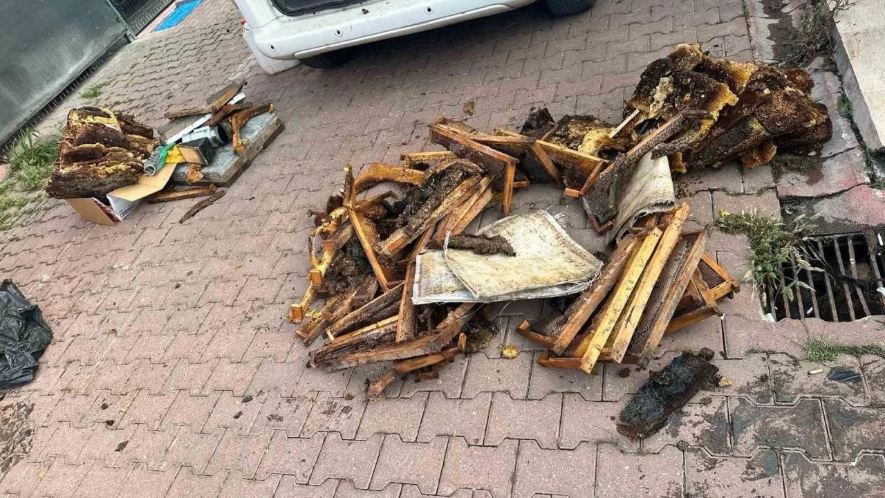 Polisin durdurduu torbaclar: 'Kralie ar tayoruz'