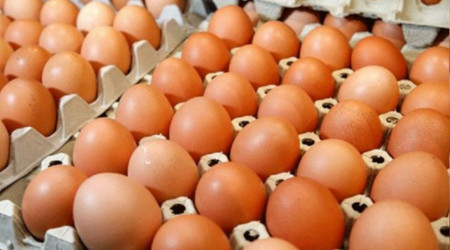 Rekabet Kurulu yumurta üreticileri ve yumurta birliklerini merceğe aldı