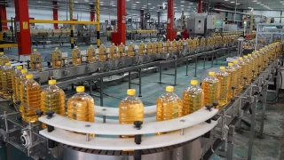 Rus ve Ukrayna ayçiçeğini işleyip dünyaya satıyorlar