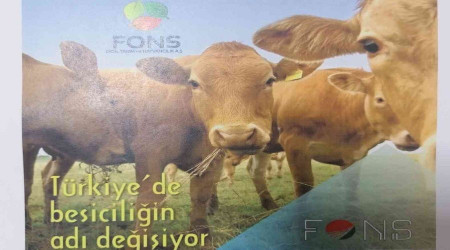 Saadet zinciri operasyonunda flaş gelişme: 'Yeni Çiftlik Bank' olacaklardı