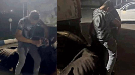 Sakarya'da büyükbaş hayvana eziyet eden 4 genç gözaltına alındı