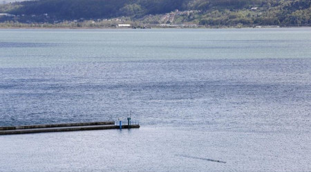 Sapanca Gölü'nden sevindiren haber