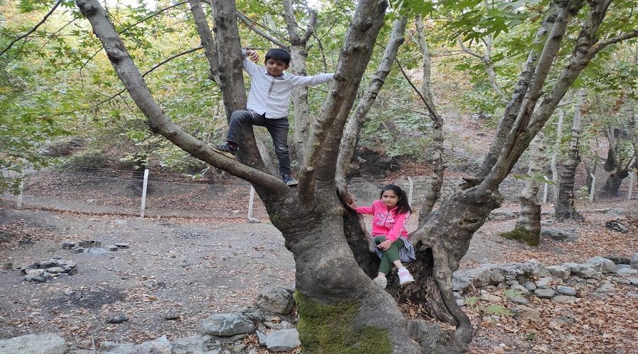 Sason'un yaayan tarihi nar aalar dimdik ayakta