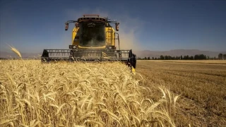 Sava� tar�mda girdi maliyetlerini patlatt�, �ift�iye �retimde bir darbe daha vuruldu