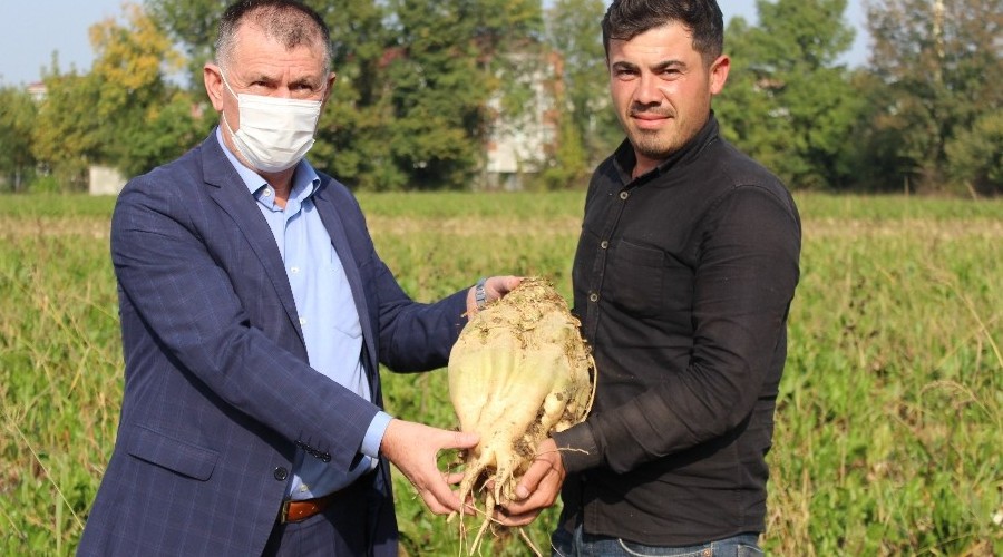 �eker pancar� �reticileri:'B�yle verim g�rmedik'