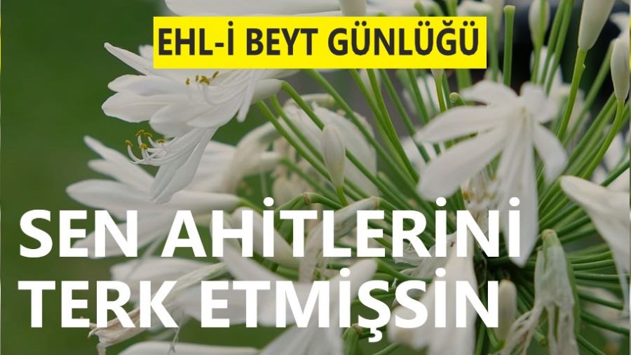 �Sen ahitleri terk etmi�sin�