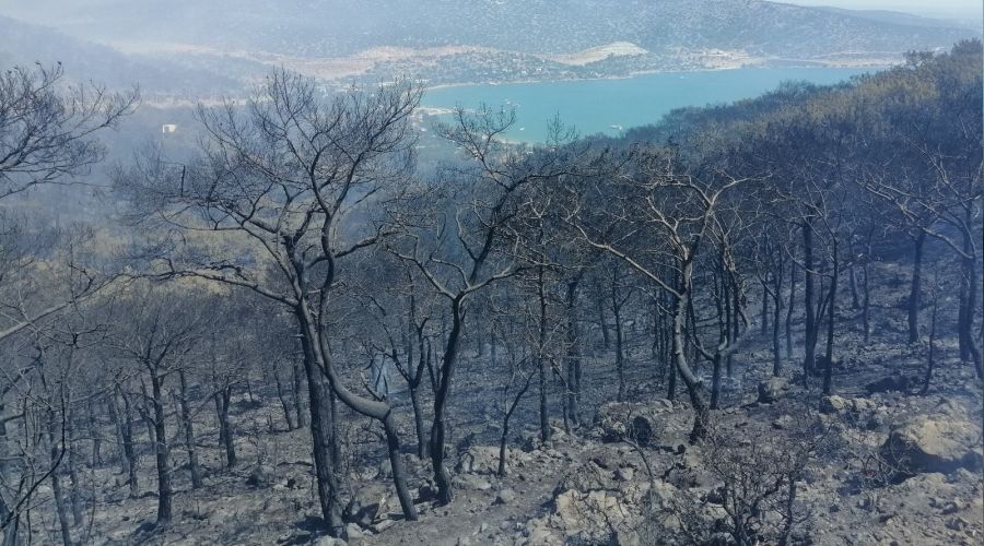 Silifke'deki orman yangını büyüyor