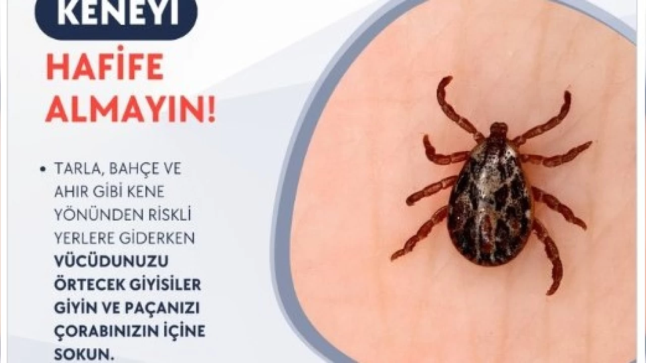 Sivas Valilii uyard: Keneyi hafife almayn