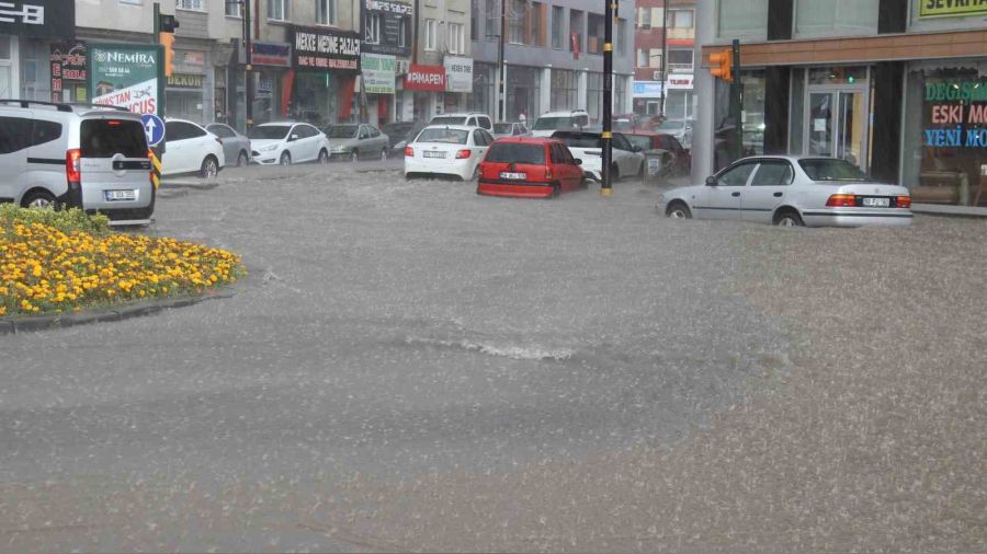 Sivas'ta sa�anak ya��� hayat� fel� etti