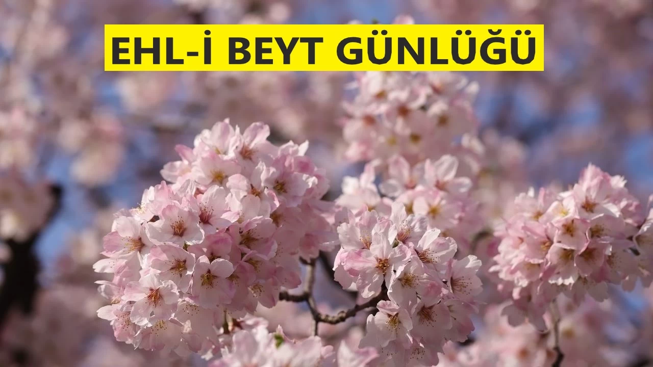 ‘Sizin liderliğinize ihtiyacım yoktur’