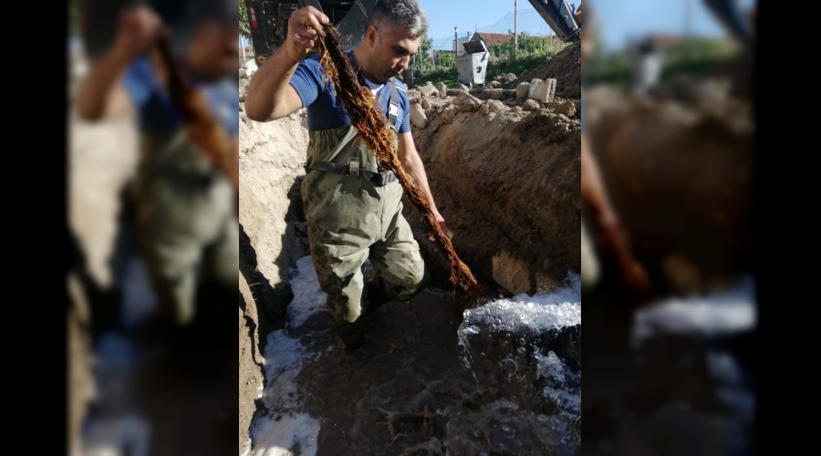 Suların az akmasının sebebi kunduz çıktı!