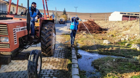 Suriye sınırında şark çıbanı alarmı