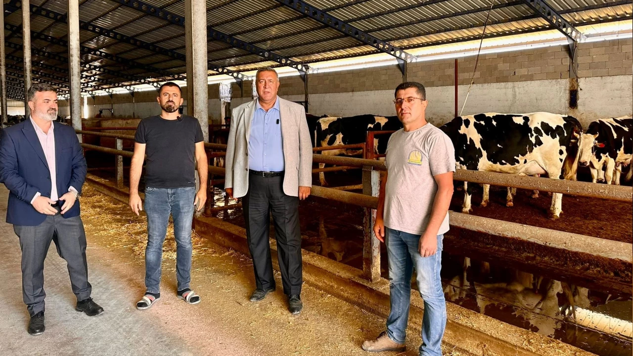 'Süt artık sudan ucuz'