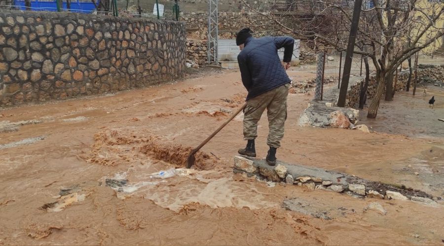 Taşan dere evleri su altında bıraktı