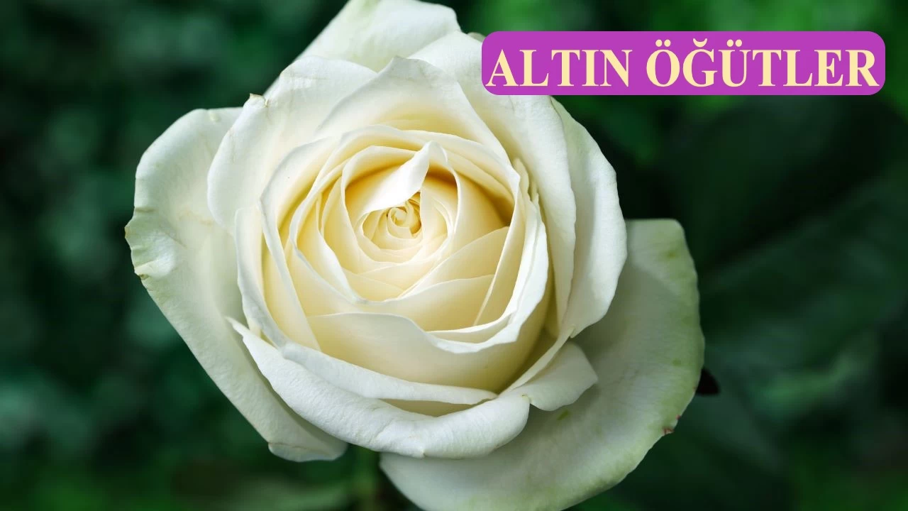 Tefekkür, ilmi kalbe yerleştirmektir
