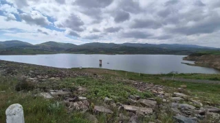 Tekirda�'da kuruyan baraj ya���larla canland�