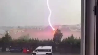 Tekirdağ'da palmiye ağacına yıldırım düştü, alev alev yandı