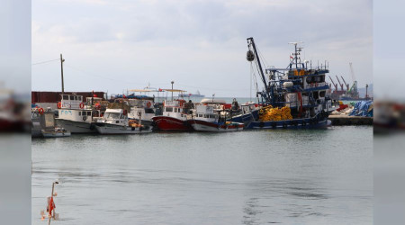 Tekirdal balklar poyraz nedeniyle 2 gndr denize kamyor