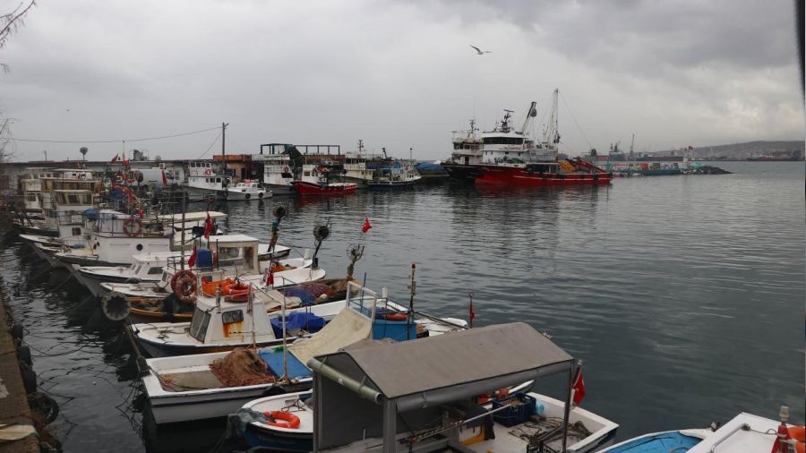 Tekirdal balklar poyrazn dinmesini bekliyor