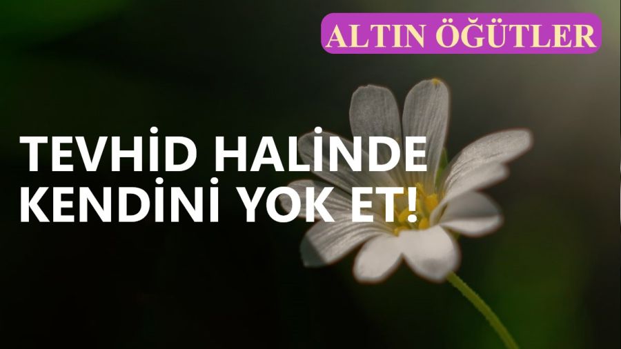 ‘Tevhid halinde kendini yok et!’