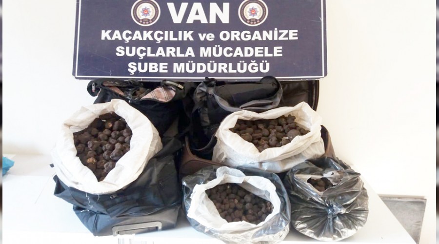 Ticaret Bakanl��� tr�f mantar� satacak