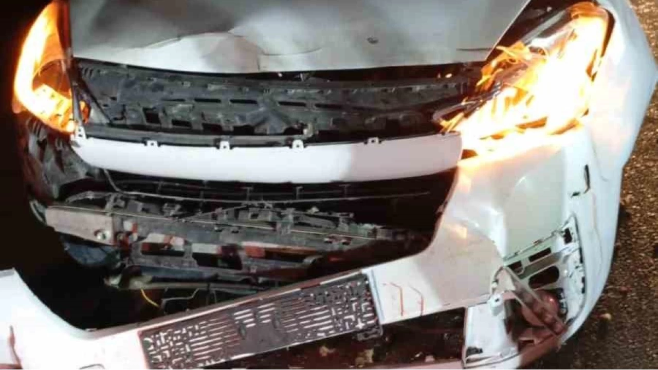 Ticari ara� koyun s�r�s�ne dald�