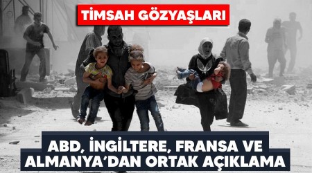 Timsah gözyaşları