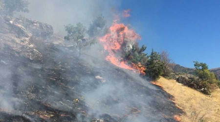 Tunceli'de kan yangn kontrol altna alnd