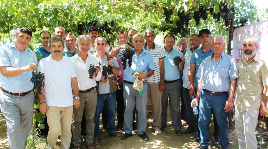 T�rk m�hendisleri geli�tirdi, �retici �ok be�endi