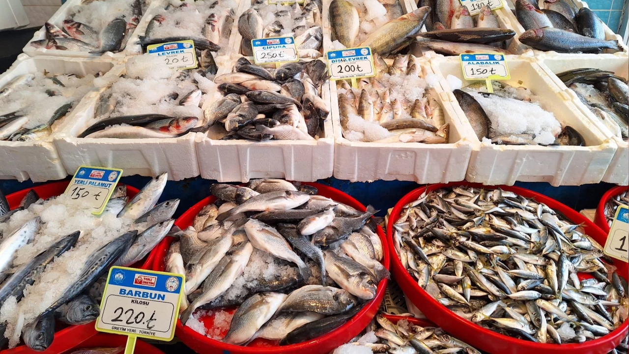 T�rkiye bal�klar� sofralar�n vazge�ilmezi