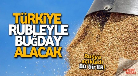 Türkiye, rubleyle buğday alıyor