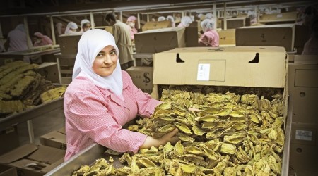 Türkiye'nin tarım ürünü ithalatı artıyor