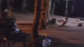 Uluda�'da �ad�r kuran ailenin yan�na a� kalan ay� geldi