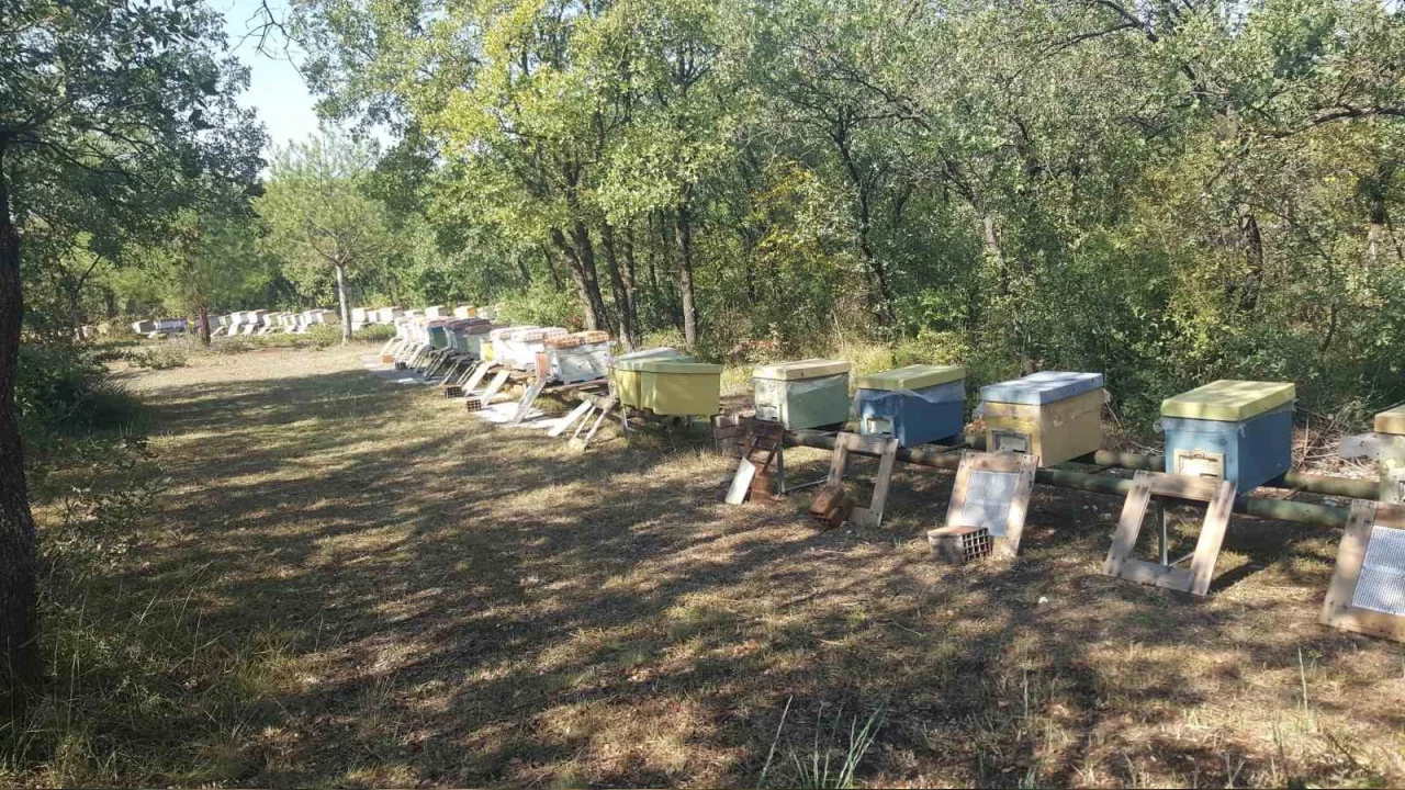 niversitenin ar kovanlar retici desteiyle yenilendi
