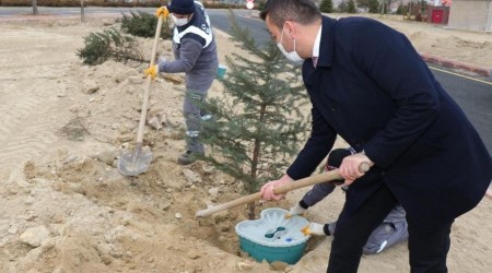 Ürgüp 'te fidanlar Ekobox sistemi ile dikiliyor