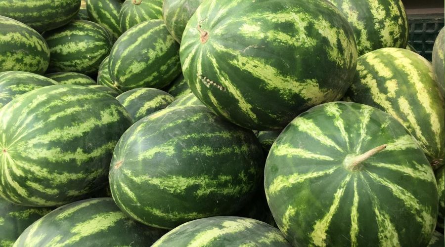 Uzmanlar karpuzun faydalarna dikkat ekti