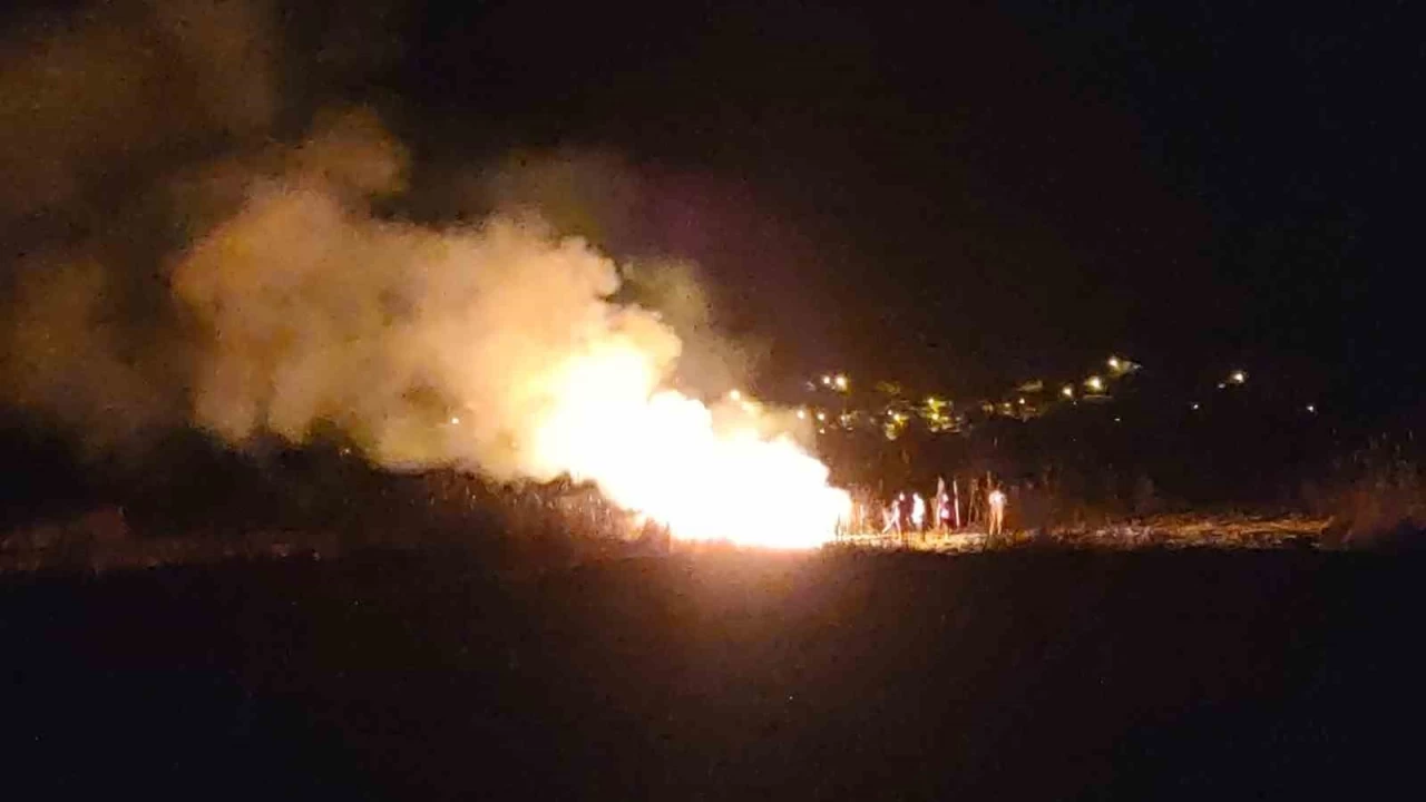 Van'da bir�ok ku� t�r�ne ev sahipli�i yapan sazl�k alan yand�