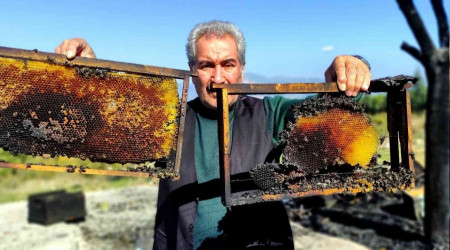 Vicdansızlar 400 kovan arıyı diri diri yaktı
