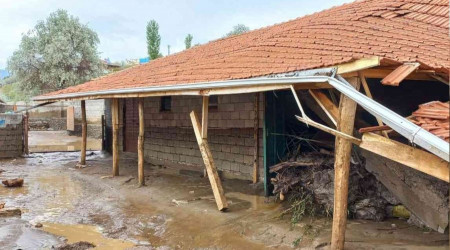 Yağış nedeniyle mandıralar çöktü, hayvanlar telef oldu