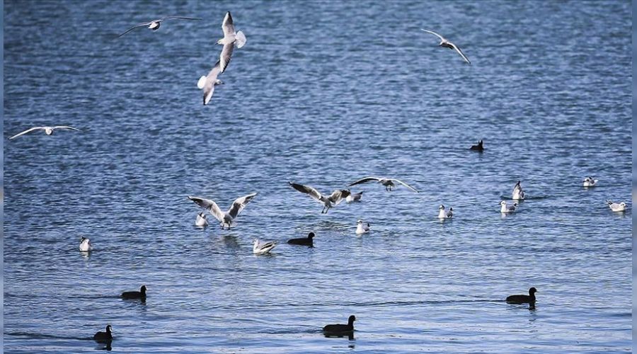 Yağışlar milli parklara hayat verdi