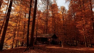 Yedigöller Milli Parkı ziyaretçi akınına uğradı