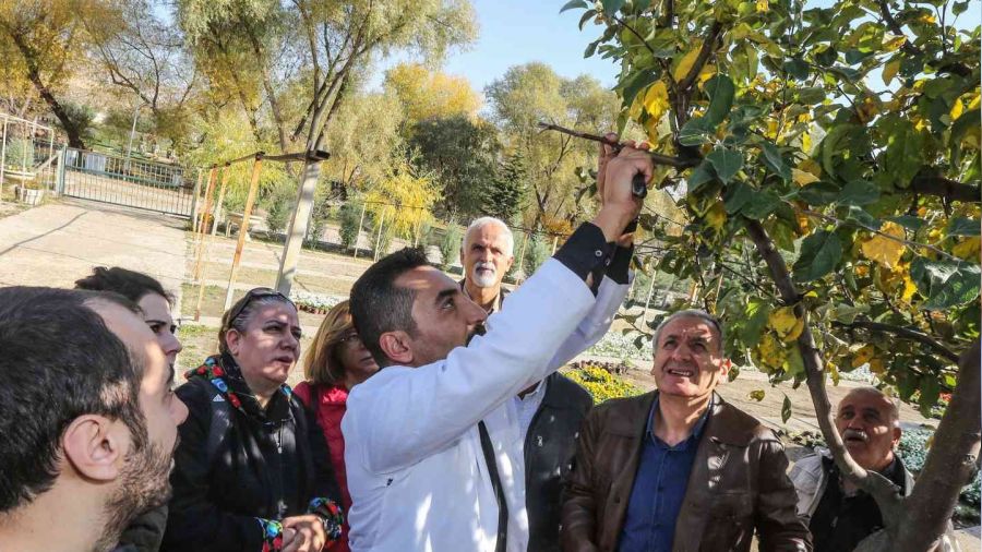 Yenimahalle'de bahçecilik kursu başladı