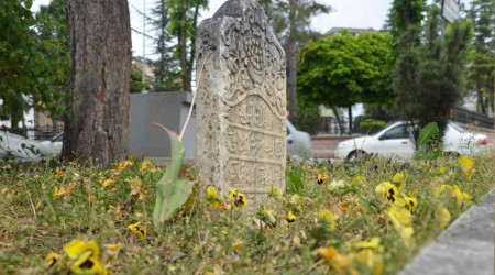Yol ortasndaki trbenin hikayesi
