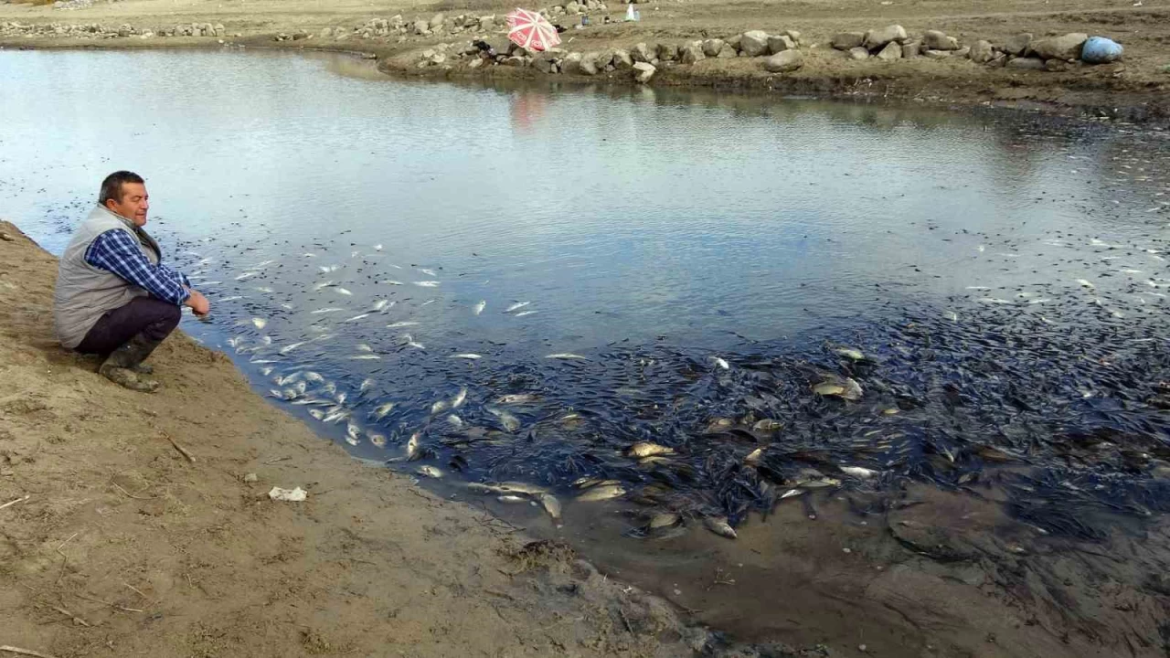 Yozgat'ta sulama barajnda toplu balk lmleri yaand