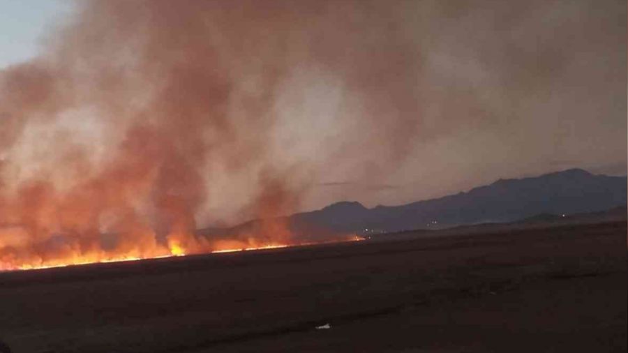 Y�ksekova'da Nehil Sazl��� alev alev yan�yor