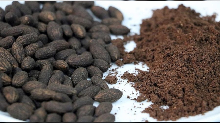 Zeytin çekirdeğinden Türk kahvesi üretildi