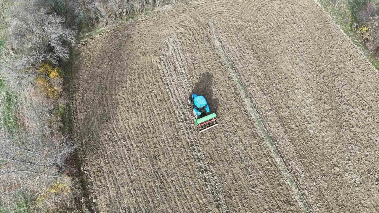 12 bin yllk siyez toprakla bulutu